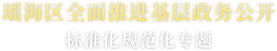 瑶海区全面推进基层政务公开标准化规范化专题